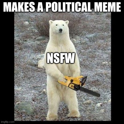 im a clean memer | MAKES A POLITICAL MEME; NSFW | image tagged in memes,chainsaw bear | made w/ Imgflip meme maker