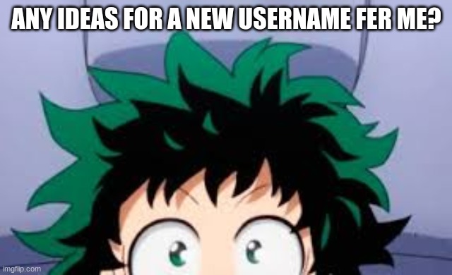 deku looking at u | ANY IDEAS FOR A NEW USERNAME FER ME? | image tagged in deku looking at u | made w/ Imgflip meme maker