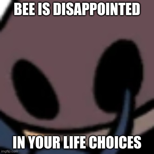 He is disappointed in you. | BEE IS DISAPPOINTED; IN YOUR LIFE CHOICES | image tagged in hollow knight,bee,meme | made w/ Imgflip meme maker