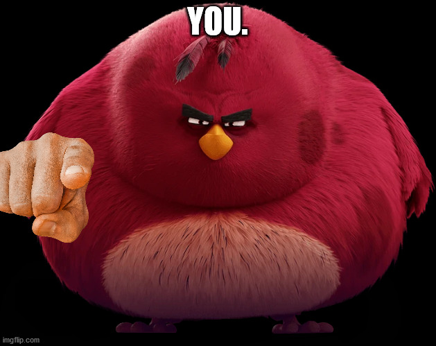 you | YOU. | image tagged in angry birds | made w/ Imgflip meme maker