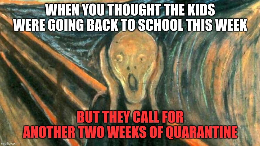 KidsArentGoingBack | WHEN YOU THOUGHT THE KIDS WERE GOING BACK TO SCHOOL THIS WEEK; BUT THEY CALL FOR ANOTHER TWO WEEKS OF QUARANTINE | image tagged in quarantine,memes | made w/ Imgflip meme maker