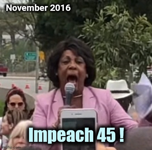 Maxine Waters | November 2016 Impeach 45 ! | image tagged in maxine waters | made w/ Imgflip meme maker