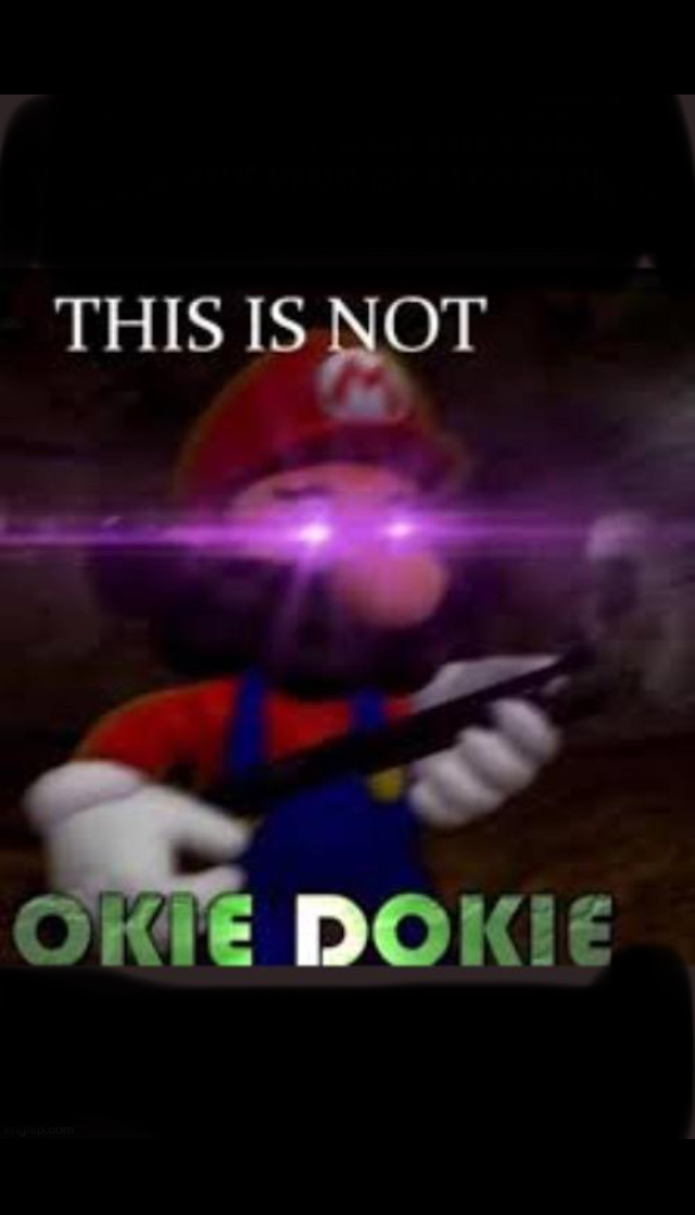 THIS IS NOT OKIE DOKIE  mario Blank Meme Template