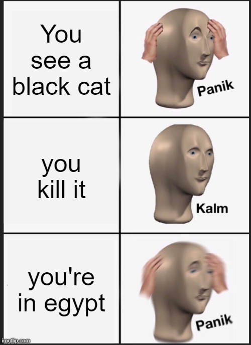 Panik Kalm Panik | You see a black cat; you kill it; you're in egypt | image tagged in memes,panik kalm panik | made w/ Imgflip meme maker