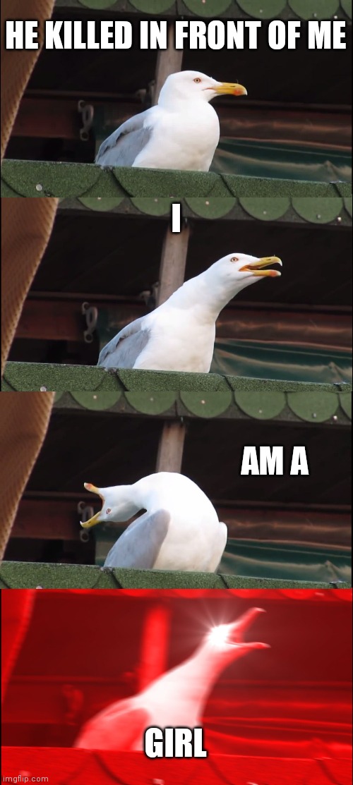 When someone in among us says | HE KILLED IN FRONT OF ME; I; AM A; GIRL | image tagged in memes,inhaling seagull | made w/ Imgflip meme maker