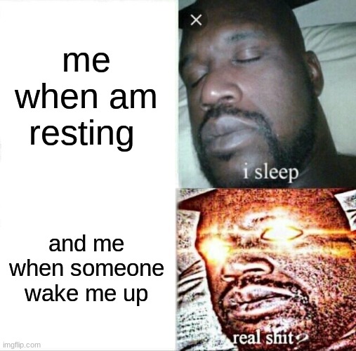 Sleeping Shaq Meme | me when am resting; and me when someone wake me up | image tagged in memes,sleeping shaq | made w/ Imgflip meme maker