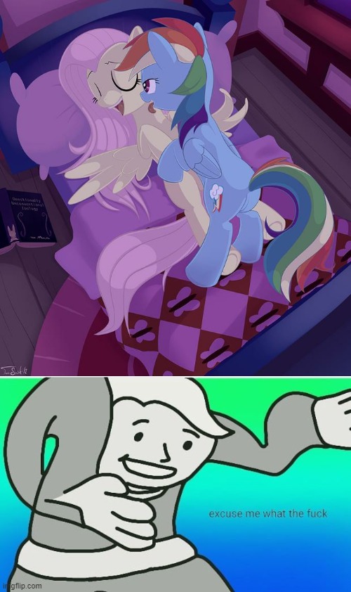EXCUSE ME!!!!! I mean, i saw that this may have be true from the show, BUT WHAT THE ABSOLUTE FUCK IS THIS!!!!! ITS A CHILDREN'S  | image tagged in saucy flutterdash,fallout boy excuse me wyf | made w/ Imgflip meme maker