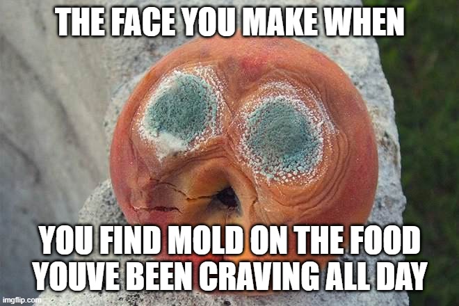 Moldy Food | THE FACE YOU MAKE WHEN; YOU FIND MOLD ON THE FOOD YOUVE BEEN CRAVING ALL DAY | image tagged in mold | made w/ Imgflip meme maker