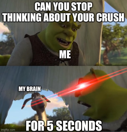 AAAAAAAA | CAN YOU STOP THINKING ABOUT YOUR CRUSH; ME; MY BRAIN; FOR 5 SECONDS | image tagged in shrek for five minutes | made w/ Imgflip meme maker