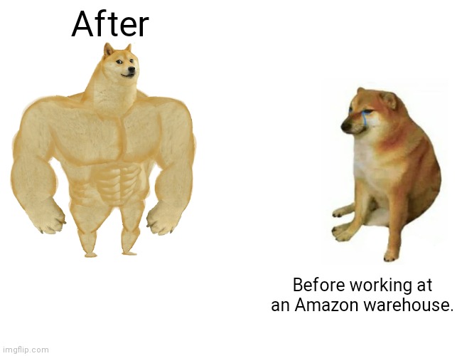 Buff Doge vs. Cheems Meme | After; Before working at an Amazon warehouse. | image tagged in memes,buff doge vs cheems | made w/ Imgflip meme maker