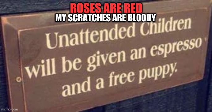 Anyone?? | MY SCRATCHES ARE BLOODY; ROSES ARE RED | image tagged in hehehe | made w/ Imgflip meme maker