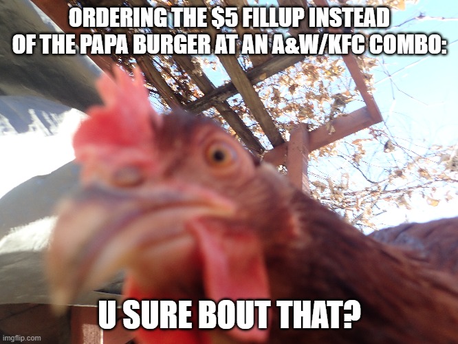 He Do Be Kinda Spittin Straight Facts Tho | ORDERING THE $5 FILLUP INSTEAD OF THE PAPA BURGER AT AN A&W/KFC COMBO:; U SURE BOUT THAT? | image tagged in angry chicken,chicken,kfc,birb,advice | made w/ Imgflip meme maker