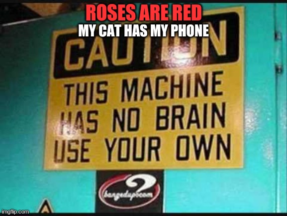 so. | MY CAT HAS MY PHONE; ROSES ARE RED | image tagged in well then | made w/ Imgflip meme maker