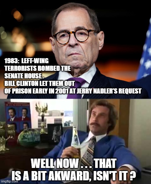 Jerry, you silly goose ;) | 1983:  LEFT-WING TERRORISTS BOMBED THE SENATE HOUSE .
BILL CLINTON LET THEM OUT OF PRISON EARLY IN 2001 AT JERRY NADLER’S REQUEST; WELL NOW . . . THAT IS A BIT AKWARD, ISN'T IT ? | image tagged in nadler,pelosi,trump,biden,insurrection,antifa | made w/ Imgflip meme maker