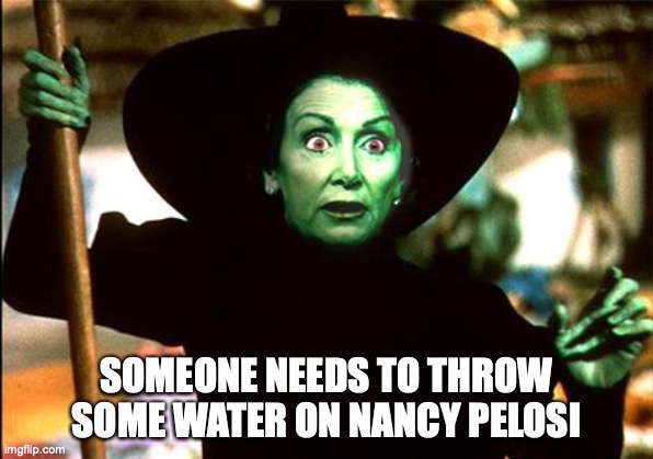 SOMEONE NEEDS TO THROW SOME WATER ON NANCY PELOSI | image tagged in nancy pelosi,congress,political meme | made w/ Imgflip meme maker