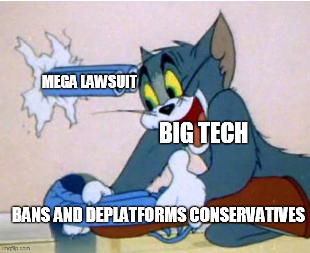 Tom and Jerry | MEGA LAWSUIT; BIG TECH; BANS AND DEPLATFORMS CONSERVATIVES | image tagged in tom and jerry | made w/ Imgflip meme maker