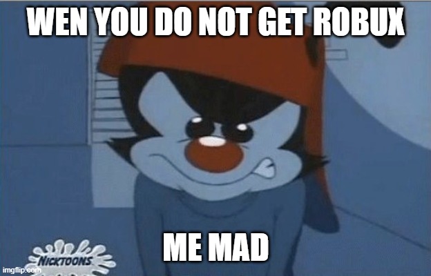mad wakko | WEN YOU DO NOT GET ROBUX; ME MAD | image tagged in memes | made w/ Imgflip meme maker
