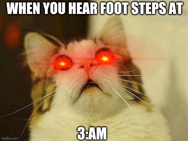 3:00 am | WHEN YOU HEAR FOOT STEPS AT; 3:AM | image tagged in memes,scared cat | made w/ Imgflip meme maker