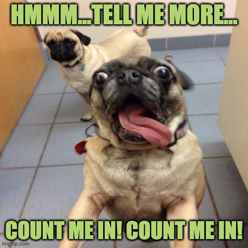 Count me in. | HMMM...TELL ME MORE... COUNT ME IN! COUNT ME IN! | image tagged in excited dog | made w/ Imgflip meme maker