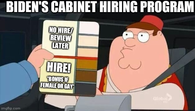 Peter Griffin skin color chart race terrorist blank | BIDEN'S CABINET HIRING PROGRAM; NO HIRE/
REVIEW LATER; HIRE! *BONUS IF FEMALE OR GAY* | image tagged in peter griffin skin color chart race terrorist blank,biden,racist,sexist,liberals | made w/ Imgflip meme maker