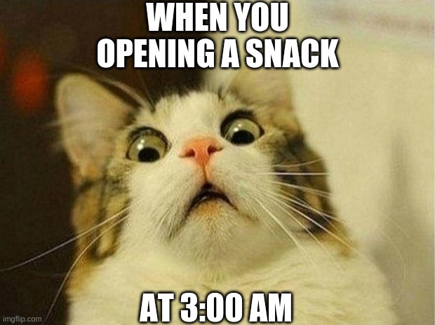 When you tryna get a snack at 3:am | WHEN YOU OPENING A SNACK; AT 3:00 AM | image tagged in memes,scared cat | made w/ Imgflip meme maker