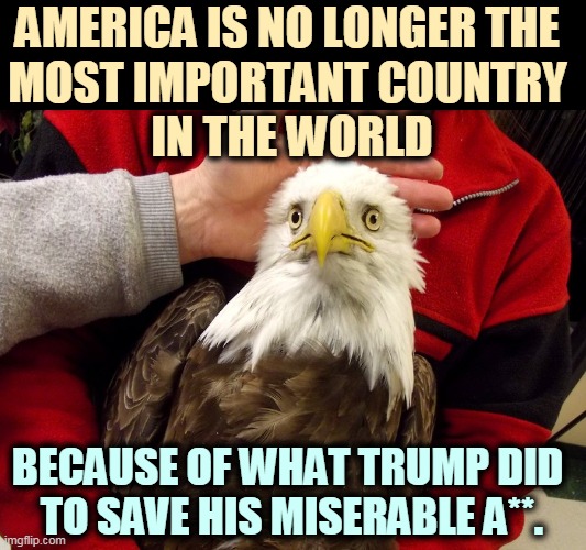 The most selfish man in American history. | AMERICA IS NO LONGER THE 
MOST IMPORTANT COUNTRY 
IN THE WORLD; BECAUSE OF WHAT TRUMP DID 
TO SAVE HIS MISERABLE A**. | image tagged in trump,selfish,disgusting | made w/ Imgflip meme maker