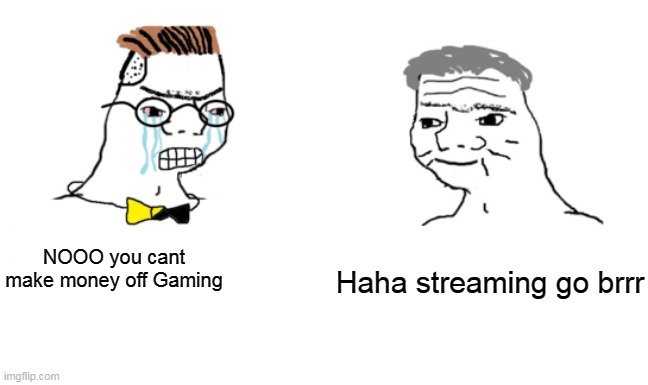 Streaming makes money | NOOO you cant make money off Gaming; Haha streaming go brrr | image tagged in noooo you can't just,streaming | made w/ Imgflip meme maker