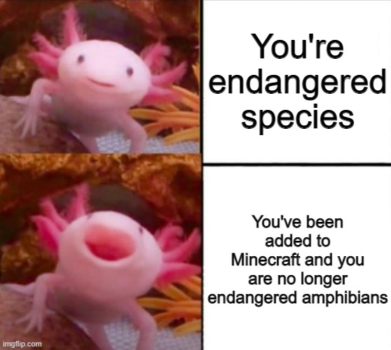 axolotl drake | You're endangered species; You've been added to Minecraft and you are no longer endangered amphibians | image tagged in axolotl drake | made w/ Imgflip meme maker