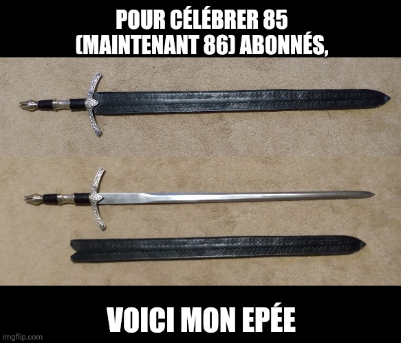 POUR CÉLÉBRER 85 (MAINTENANT 86) ABONNÉS, VOICI MON EPÉE | made w/ Imgflip meme maker