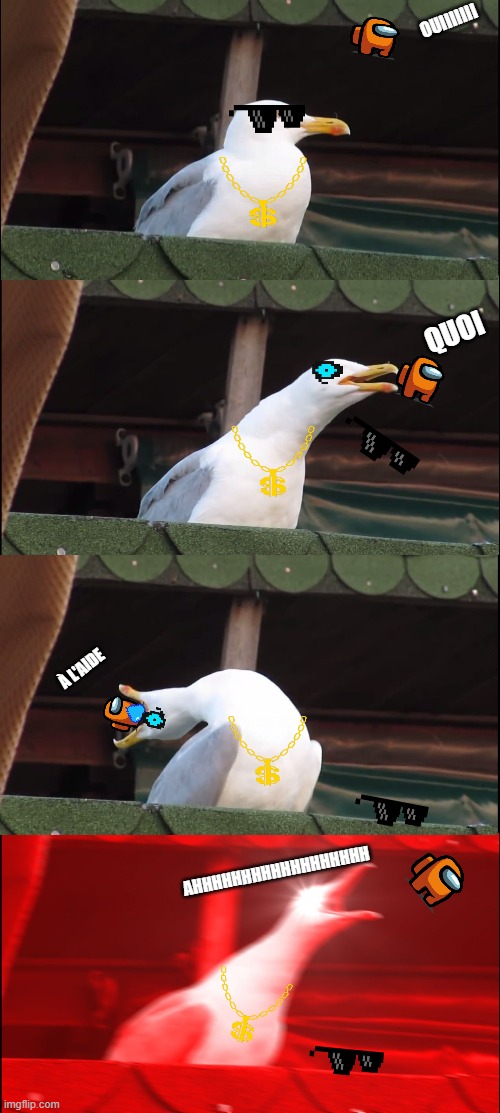 oiseau | OUIIIIIII; QUOI; À L'AIDE; AHHHHHHHHHHHHHHHHHH | image tagged in memes,inhaling seagull | made w/ Imgflip meme maker