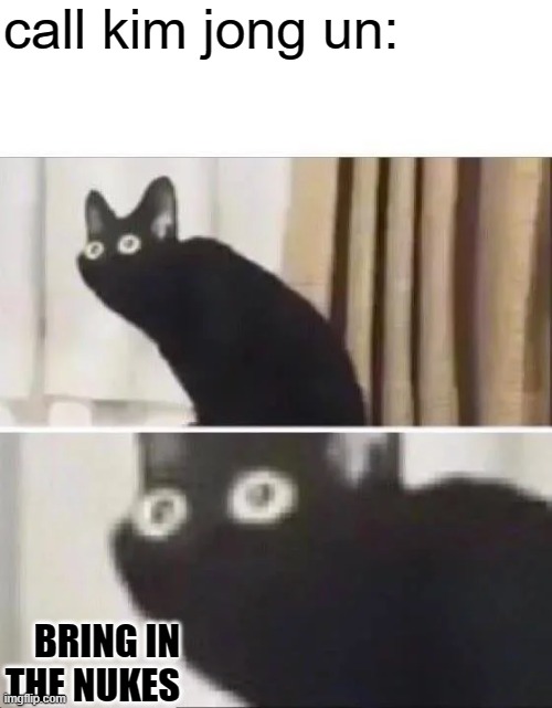 Oh No Black Cat | call kim jong un:; BRING IN THE NUKES | image tagged in oh no black cat | made w/ Imgflip meme maker