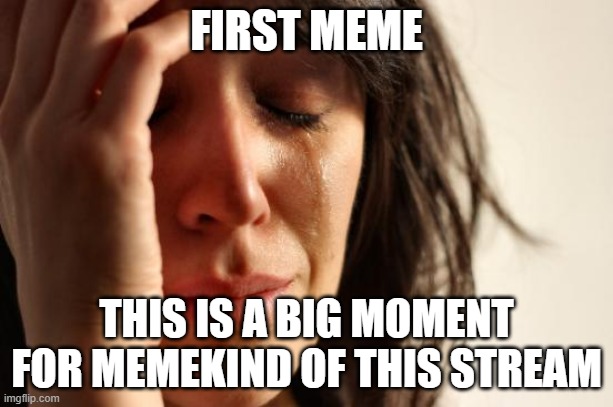First World Problems | FIRST MEME; THIS IS A BIG MOMENT FOR MEMEKIND OF THIS STREAM | image tagged in memes,first world problems | made w/ Imgflip meme maker