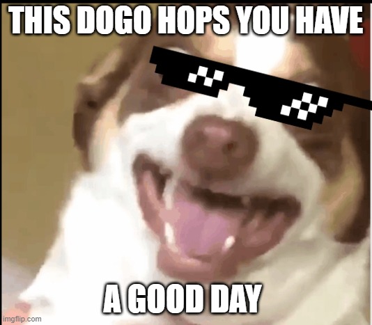 dogo | THIS DOGO HOPS YOU HAVE; A GOOD DAY | image tagged in dogo | made w/ Imgflip meme maker