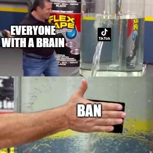 BAN IT!! | EVERYONE WITH A BRAIN; BAN | image tagged in phil swift slapping on flex tape | made w/ Imgflip meme maker