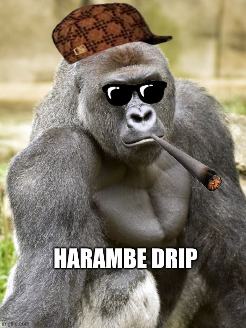 Harambe drip | HARAMBE DRIP | image tagged in harambe | made w/ Imgflip meme maker