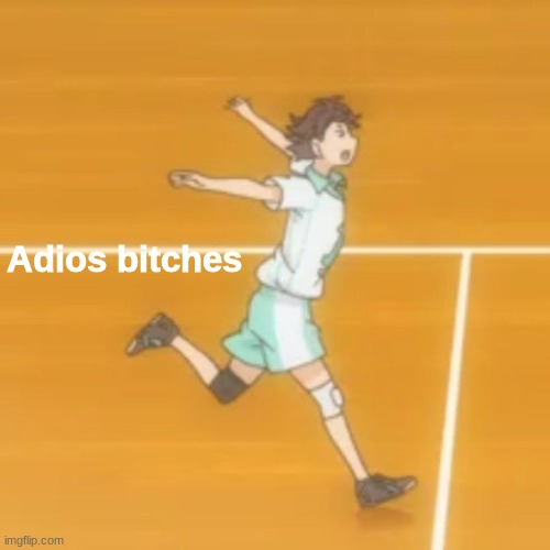 Adios bitches | image tagged in adios bitches | made w/ Imgflip meme maker