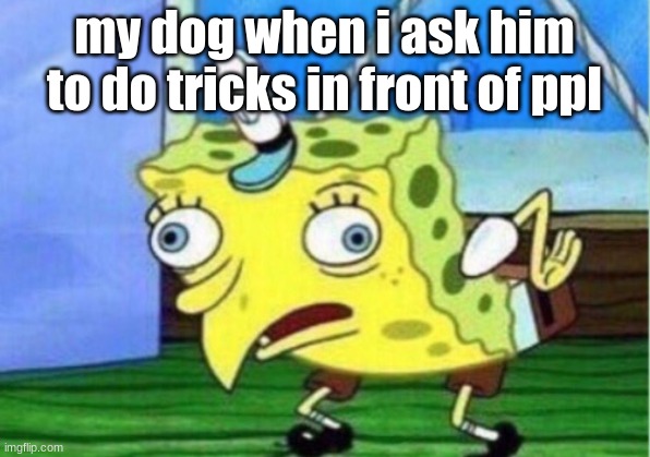 Mocking Spongebob | my dog when i ask him to do tricks in front of ppl | image tagged in memes,mocking spongebob | made w/ Imgflip meme maker