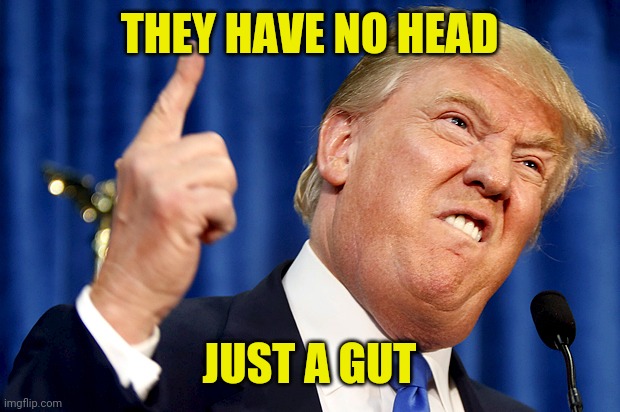 Donald Trump | THEY HAVE NO HEAD JUST A GUT | image tagged in donald trump | made w/ Imgflip meme maker