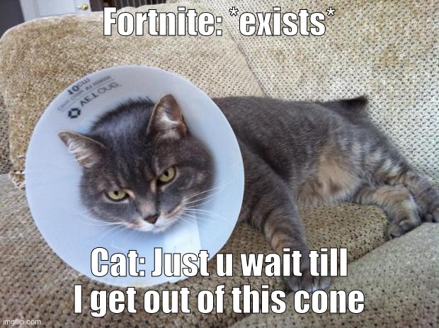 Hate Cone Cat | Fortnite: *exists*; Cat: Just u wait till I get out of this cone | image tagged in hate cone cat | made w/ Imgflip meme maker