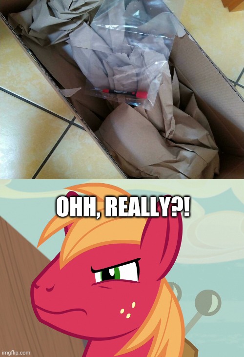 What?! How is this in a big package?! | OHH, REALLY?! | image tagged in jealousy big macintosh mlp,you had one job,big package,funny,task failed successfully | made w/ Imgflip meme maker
