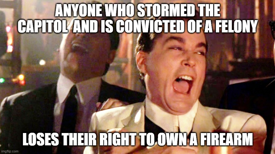 Capitol | ANYONE WHO STORMED THE CAPITOL  AND IS CONVICTED OF A FELONY; LOSES THEIR RIGHT TO OWN A FIREARM | image tagged in capitol hill,gun rights,trump | made w/ Imgflip meme maker