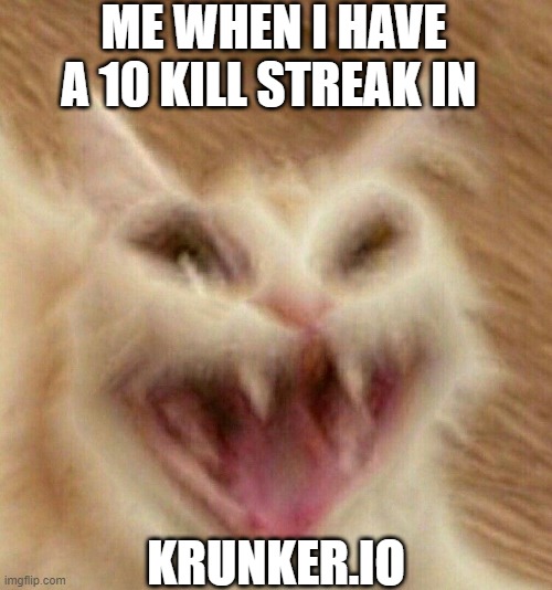 lol cat | ME WHEN I HAVE A 10 KILL STREAK IN; KRUNKER.IO | image tagged in lol cat | made w/ Imgflip meme maker