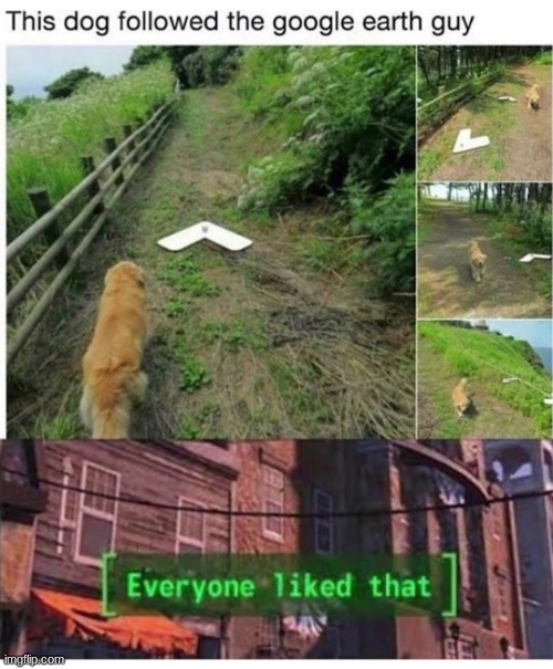 This dog is on a mission | image tagged in google earth,dog,everybody liked that,doggo | made w/ Imgflip meme maker