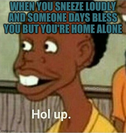 Nah im out | WHEN YOU SNEEZE LOUDLY AND SOMEONE DAYS BLESS YOU BUT YOU'RE HOME ALONE | image tagged in hol up,wait,what | made w/ Imgflip meme maker