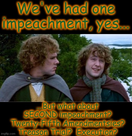 I don't Think He's Heard of Second Impeachment... | We've had one impeachment, yes... ...But what about SECOND impeachment?
Twenty-Fifth Amendmentsies?
Treason Trial?  Execution? | image tagged in merry and pippin,trump,trump impeached,trump impeached again,the biggest loser,donald chump | made w/ Imgflip meme maker