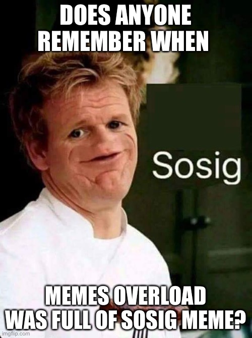 Sosig | DOES ANYONE REMEMBER WHEN; MEMES OVERLOAD WAS FULL OF SOSIG MEME? | image tagged in sosig | made w/ Imgflip meme maker