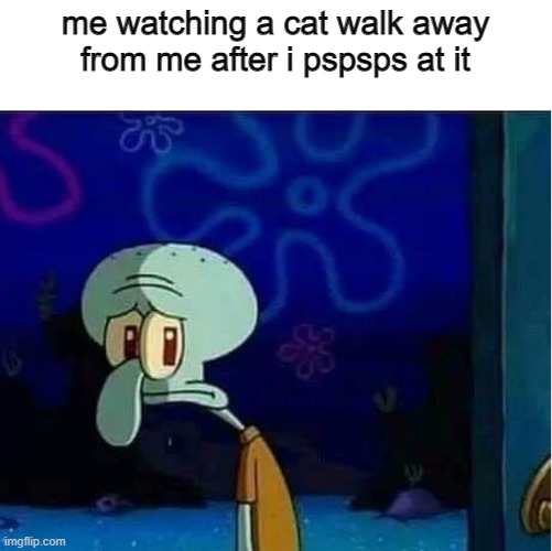 Sad Squidward | me watching a cat walk away from me after i pspsps at it | image tagged in sad squidward,cat memes | made w/ Imgflip meme maker