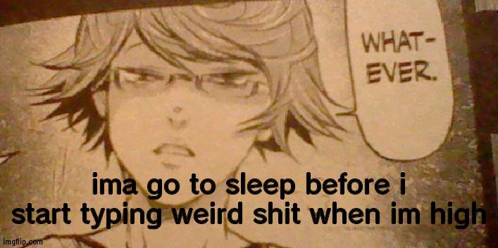 ok | ima go to sleep before i start typing weird shit when im high | image tagged in nishiki whatever,ok,sleep | made w/ Imgflip meme maker