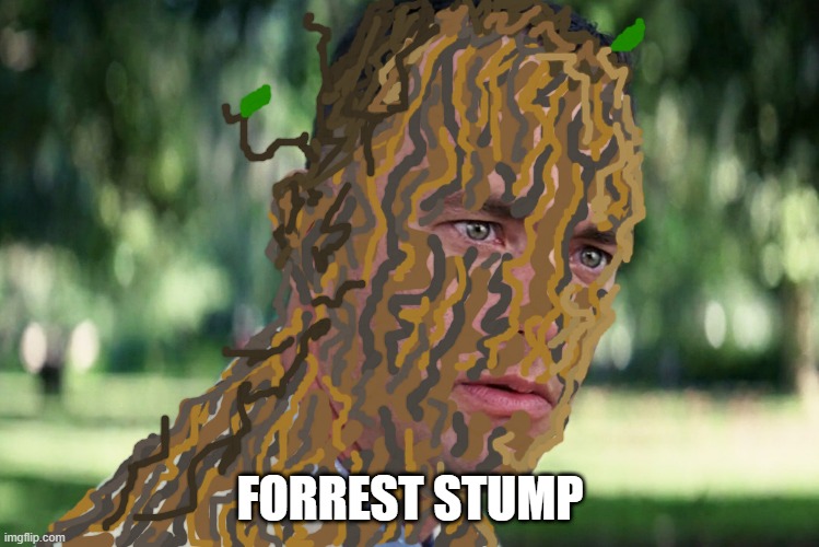 ? | FORREST STUMP | image tagged in memes,and just like that | made w/ Imgflip meme maker