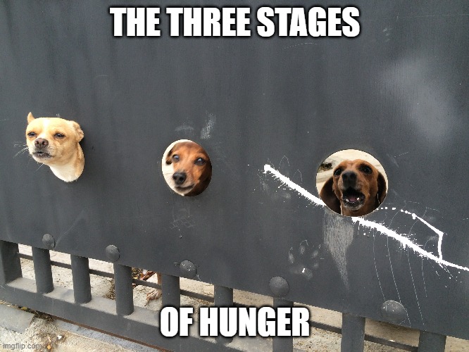 Three Stages of Hunger | THE THREE STAGES; OF HUNGER | image tagged in funny memes,hunger | made w/ Imgflip meme maker